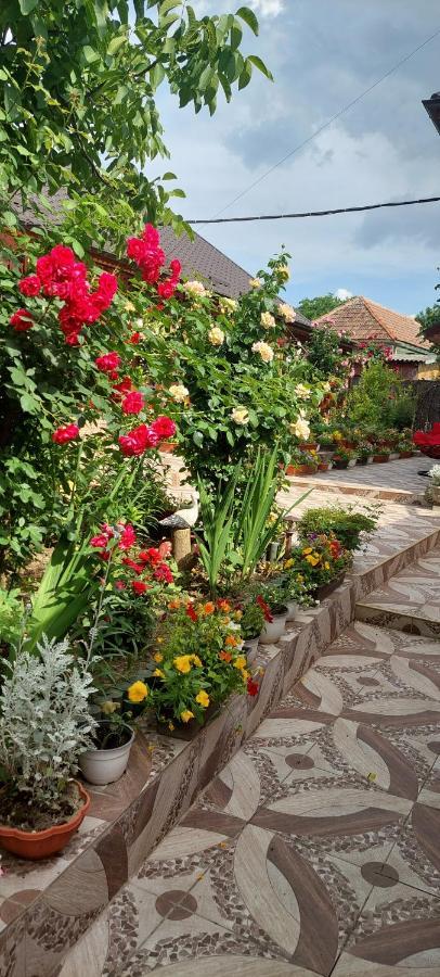 Pensiunea Happy Flowers