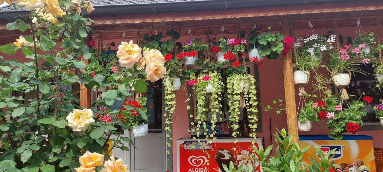 Pensiunea Happy Flowers 招待所 Greci